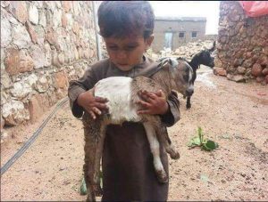 عام زايد-سقطرى-اليمن-اعصار-طفل
